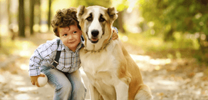 Emerson Animal Hospital