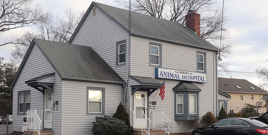 Emerson Animal Hospital